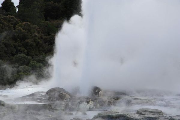 Rotorua-AVE-Maori-geyser.-3-.-jpg.jpg