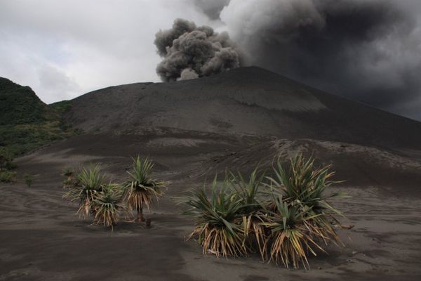 yasur 36 AVE