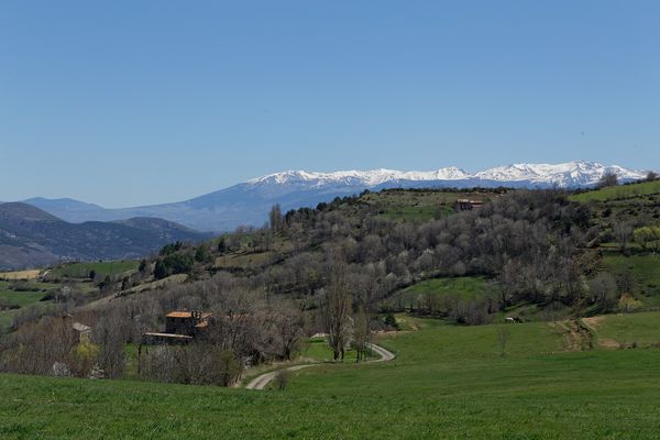 Pyrenees-2.jpg