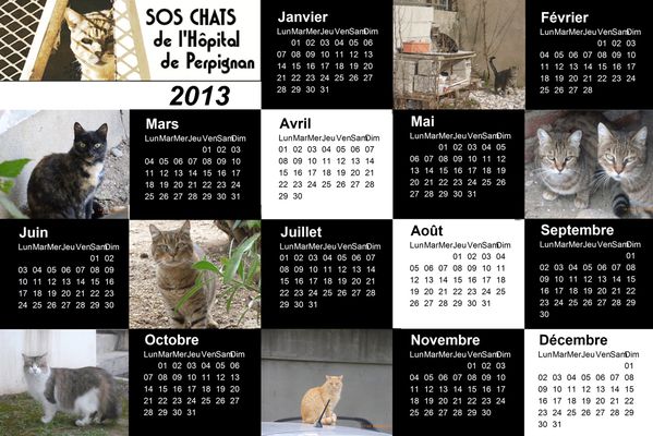calendrier-2013.jpg