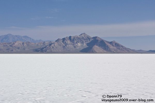 Antelope-Island-Ok 4451