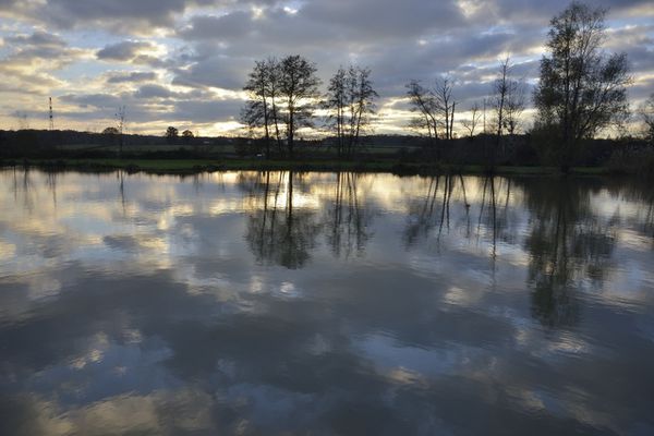 DSC0217