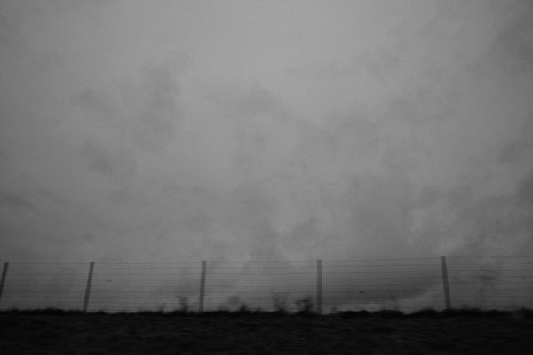 DSC0355