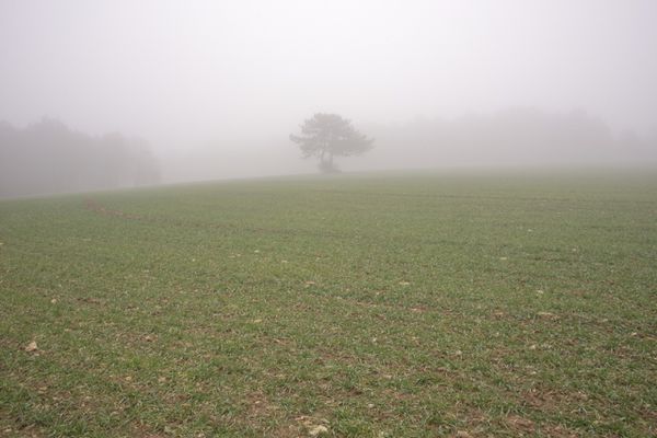 DSC0708