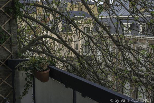 29042014- DSC2322