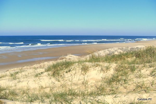 plage.jpg