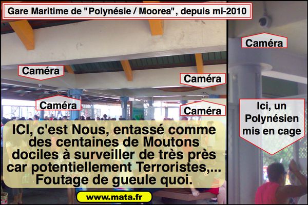 Vignettes-Mata-Gare-Maritime-de-Moorea-et-ces-cameras-de-m.jpg