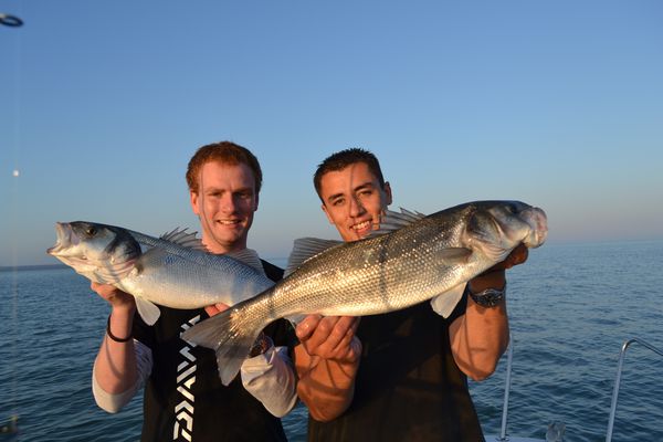 DSC_0407.JPG