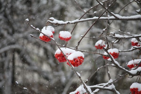Photographie 0189