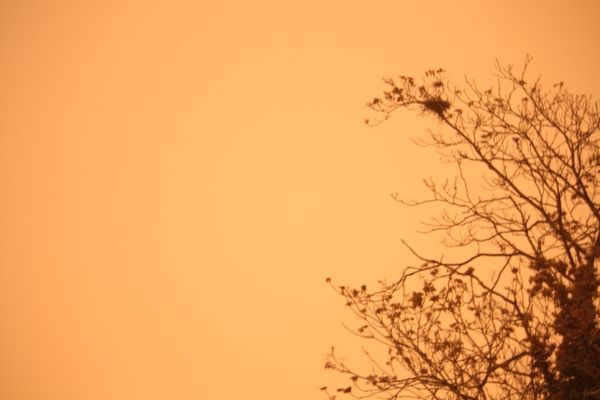 Photographie 0265