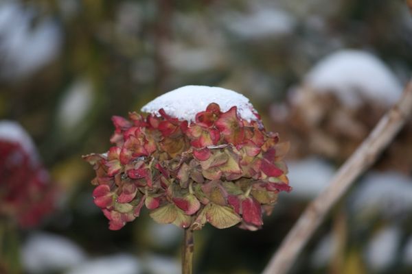Photographie 0329