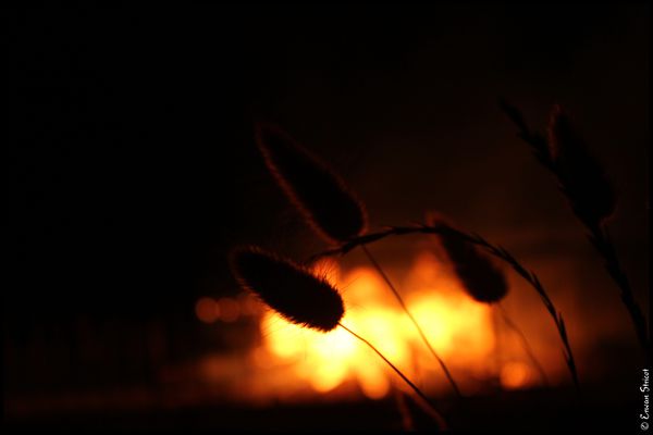 Partie-2 3194