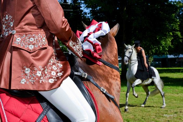 Programme rencontre equestre luneville 2016