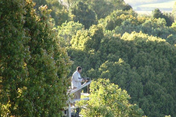 14 Voisin dans la verdure