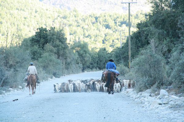 Arrieros-ValleLinares-LosBellotos-April2010.JPG