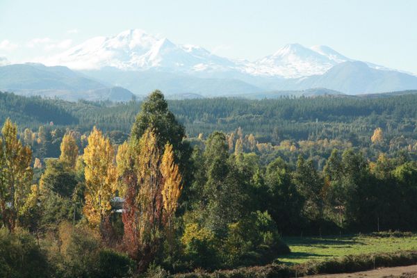 VolcanesChillan-caminoLasTermas-avril2010.JPG