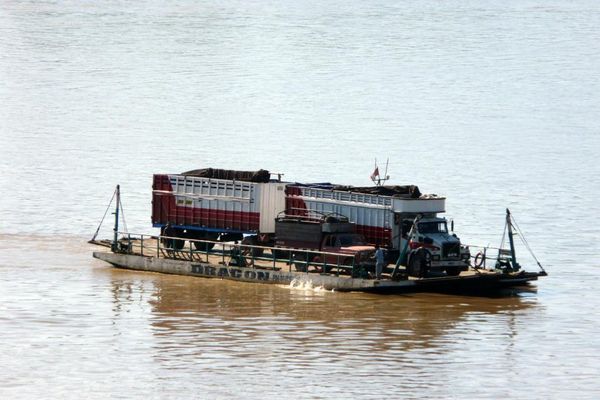 087. amazonie - pérou - juin 2010