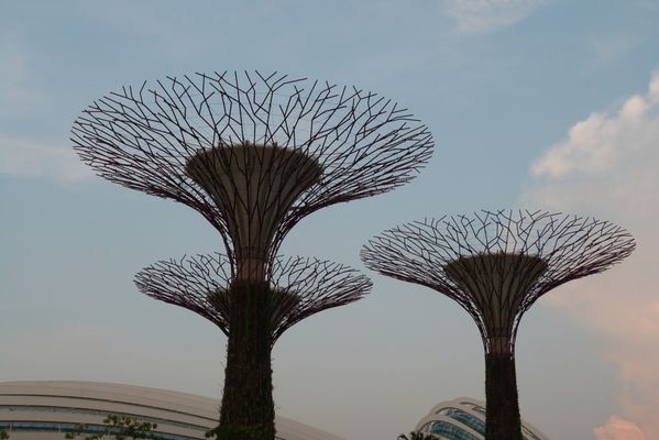 097. gardens by the bay