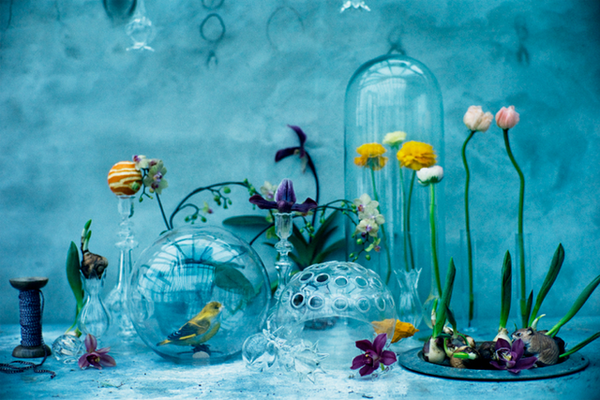 cover-image-blue.png
