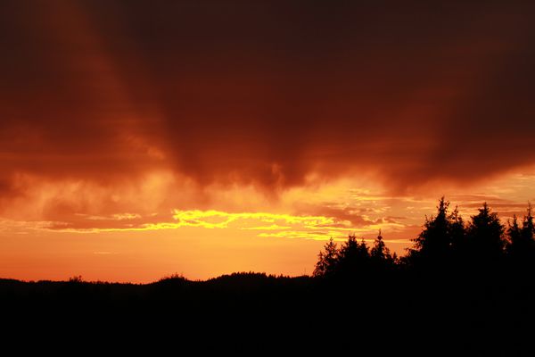 Paysage-2670.JPG