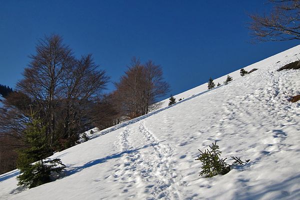 2012-03-7748---copie.JPG