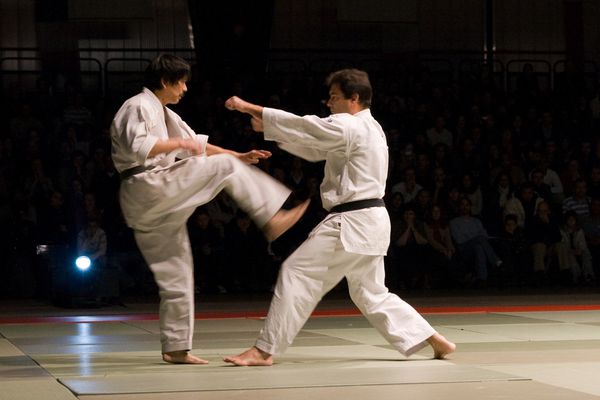 NAMT07 0022 Shukokai Karate