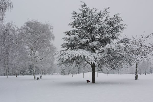 pays-des-neiges.jpg