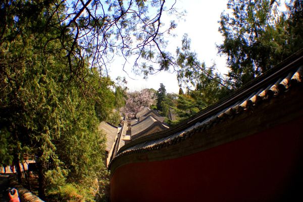 Pekin - Summer palace (9)