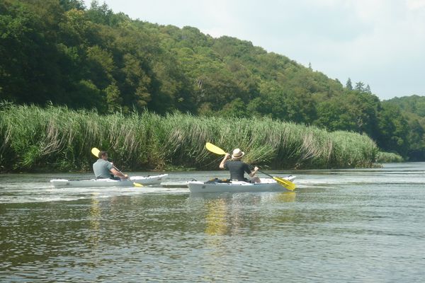 P1010537.JPG