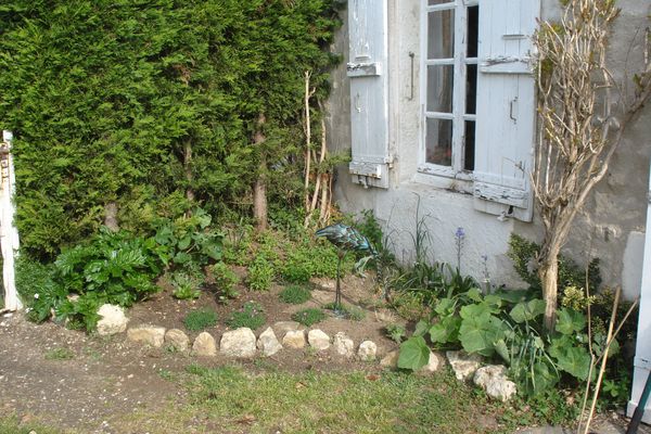DSC00485