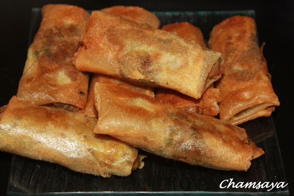 Bricks-a-la-viande-hachee 8556