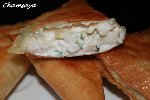 Bricks-crevettes-et-philadelphia 6101