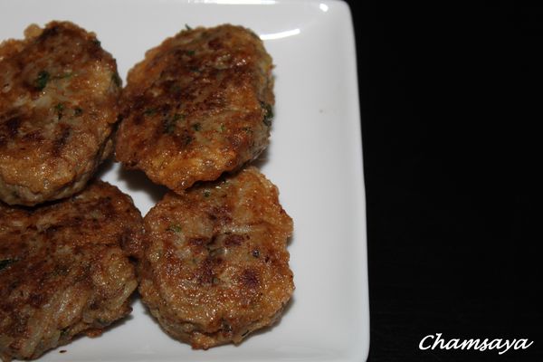 Viande-hachee-facon-turque 7516