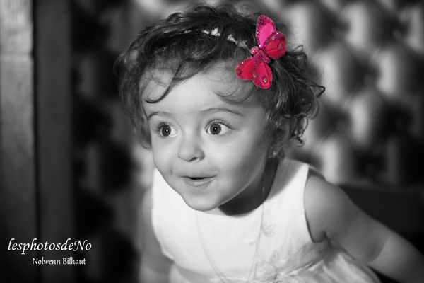 DSC01204bw2 copie