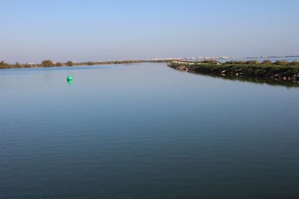 0198-canal du Rhône à Sète