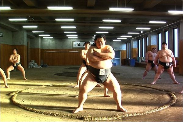 Tu-seras-sumo-photo-1.jpg
