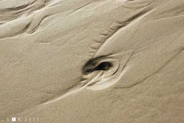 clYk-Graphisme-Figure de sable-Fleur de sable-Wimereux