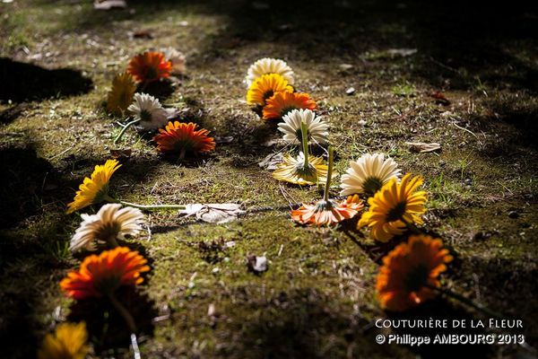Fleuriste mariage Montpellier (2)