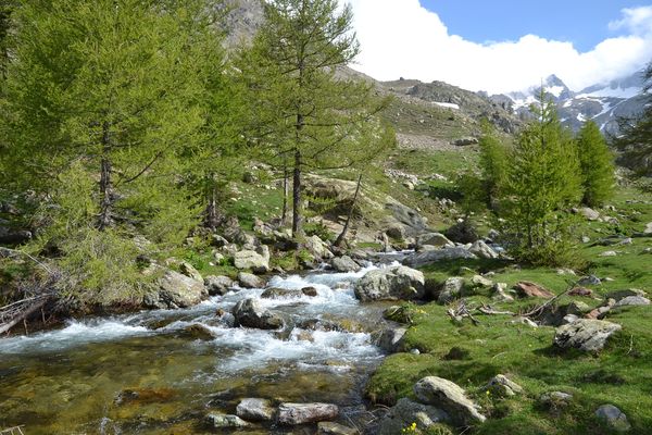fenestre-cabret-20-05-2011-152.JPG