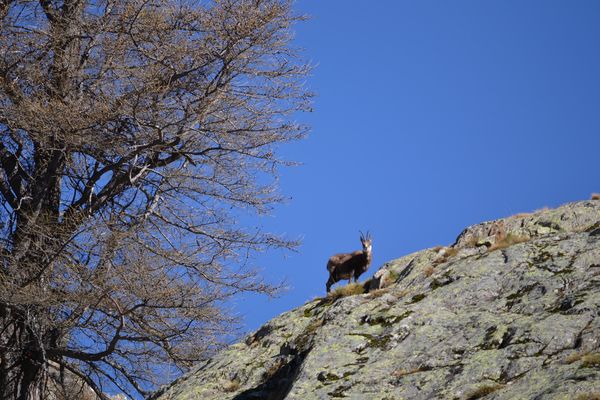 fenestre-le-04-05-2012-079.JPG