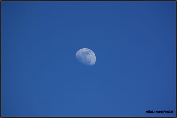 Copie-de-IMG_0945.JPG