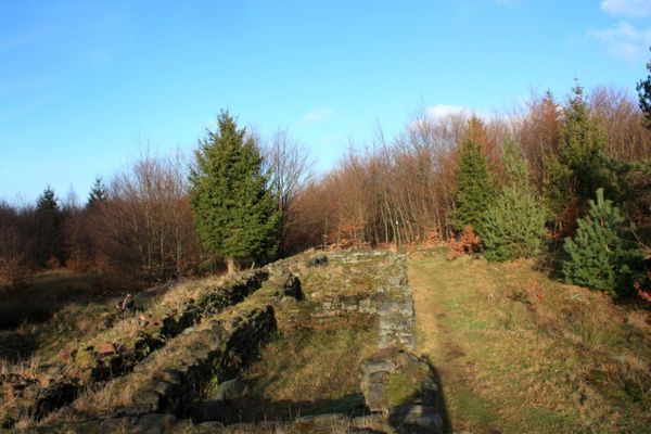 Wasserwald 0192
