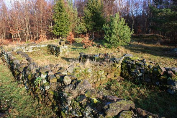 Wasserwald 0198