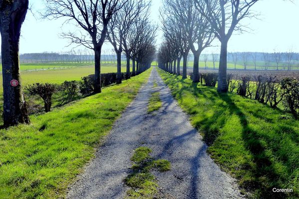 ky01---chemin.JPG