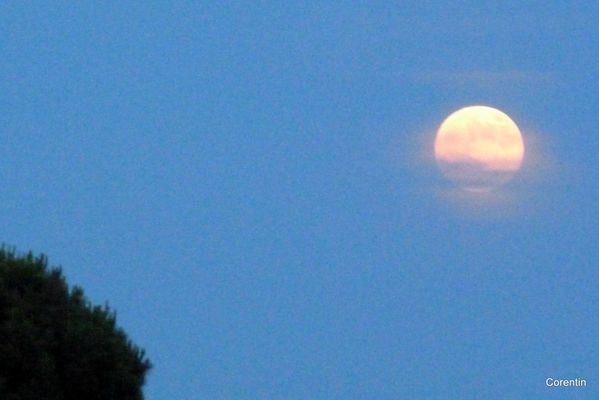 ct01---Lune.JPG