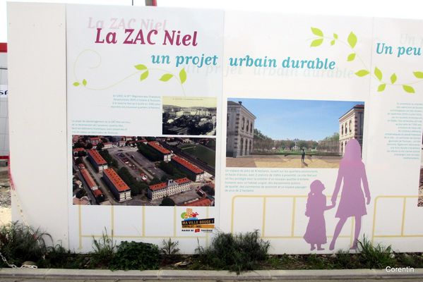 N05---Zac-Niel.JPG
