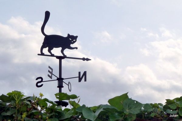 07---chat-a.jpg