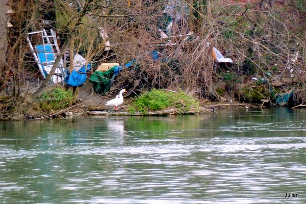 11---Bord-de-Garonne.JPG