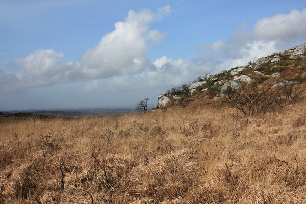 Bretagne-4237.JPG