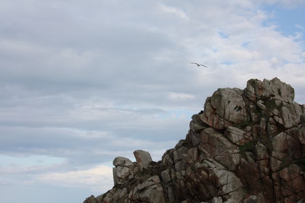 Bretagne-4610.JPG